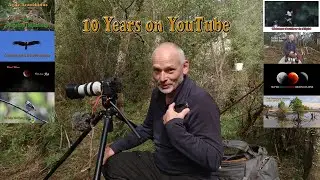 10 years on youtube wildlife photography filming