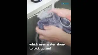 Does Norwex Really Work? The Science behind Mechanical Cleaning