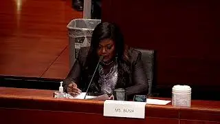 Subcommittee on the Constitution, Civil Rights, and Civil Liberties
