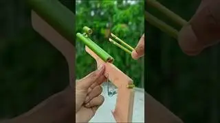 bamboo creations with mini slingshot🤯 #shorts #trending #bamboo #experiment