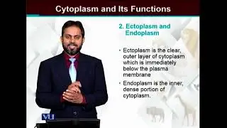 Cytoplasm and its Functions | Cell Biology | BIO5105_Topic041