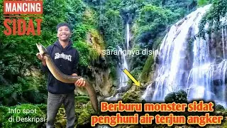 Mancing di tengah hutan berburu sidat monster di bawah air terjun angker  #mancing sidat