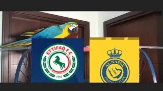 Al Ettifaq vs Al Nassr Prediction - Saudi Professional League 2023 - Parrot Prediction