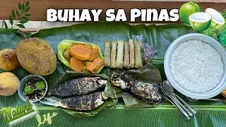 LIVING A SIMPLE LIFE IN THE PHILIPPINES 🌱| SMALL COCONUT FARM🥥 | Jendyvibes