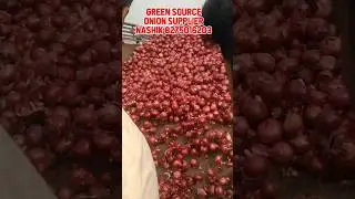 Nashik onion market green source