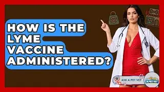How Is The Lyme Vaccine Administered? - Ask A Pet Vet