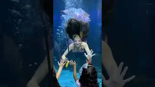 Mermaids make dreams come true! 🥹 #mermaid #mermaidtail #cute #aquarium #underwater #swimming #h2o