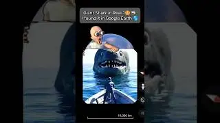 👉Giant ANGRY SHARK🦈😱 in Real 📍Geo at the End #Shorts #ViralShorts #WeirdWorld #TrendingShorts #viral