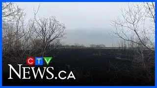 Next steps after Stoney Point fire
