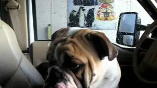BARRINGTON'S Carwash.AVI
