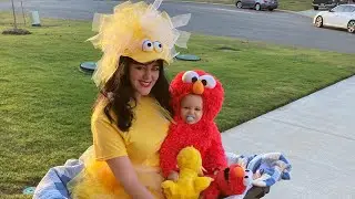 DIY Big Bird Costume