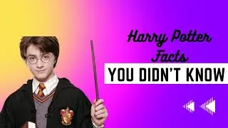 Harry Potter facts you didn't know