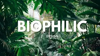 What is Biophilic Design?  Sustainable Eco-Friendly Homes