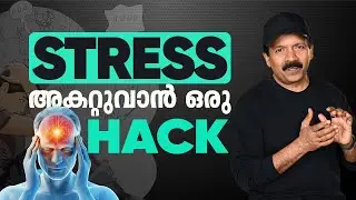 SIMPLE HACK FOR MANAGING STRESS (MALAYALAM)| BIOHACK WITH MAGNESIUM | MENTAL HEALTH | WHEALTH THEORY