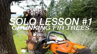 SOLO Lesson #1: Chunking Some Fir Trees