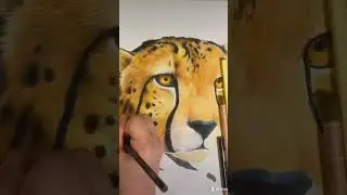 WOW 🤩 😮 Realistic Cheetah Drawing 🐆 🐱 #drawing #art #cheetah #felinepower