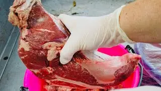 BIG STEAKS for BIG CATS!!!