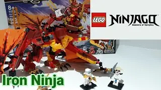 LEGO Fire Dragon Attack (2021) Review | Set #71753