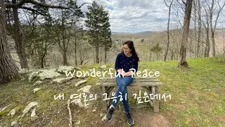 Wonderful Peace (내 영혼의 그윽히 깊은데서) / Violin 찬양