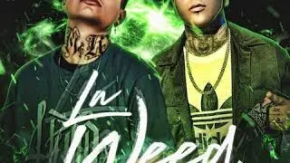 Remik Gonz&aacute;lez ft Miguel Rodr&iacute;guez( LA WEED)🔥🇲🇽🚬