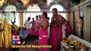 Thai Poosam Cavedee @ Siva Soopramaniar kovil Cap Malheureux