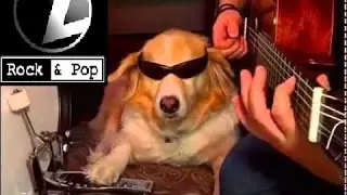 Cu&ntilde;a - Radio Z rock and pop- Es musica Z rock and pop version Rock