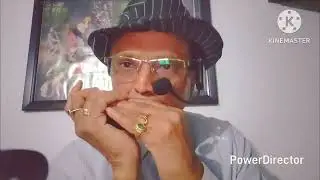 Kahdoon Tumhen Ya Chup Rahun in Harmonica by Swapan Dutta
