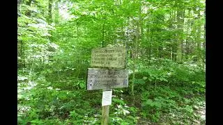 Low Gap Trail Photos Part Two 6 08 24