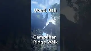BALI is GORGEOUS - Prettiest Hike -  Campuhan Ridge Walk - Ubud, Bali, Indonesia #shorts