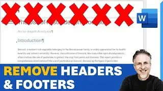 How to Remove Header and Footer in Word
