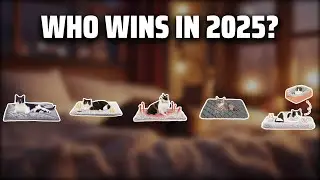The Top 5 Best Self Heating Cat Bed in 2025 - Must Watch Before Buying!
