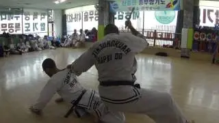 Europe Hapkido Team in Korea 2016 - DAY 5