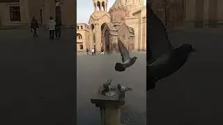 Palomas de Erev&aacute;n
