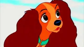 Ladyhontas part 13 - 