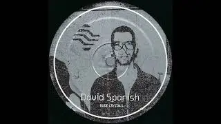 David Spanish - Dirty Computer (Distangled)