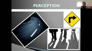 Driving Safely With Parkinson's Disease
