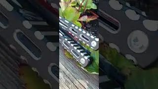 BB Barfly B-roll clip