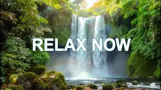 LIVE 24/7 🌿 Relaxing Piano Music & Water Sounds | Deep Calm