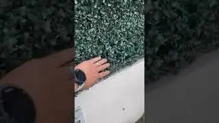 Instagreen VS otras marcas
