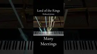 Many Meetings - Lord of the Rings chill piano cover midi visualizer