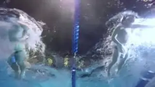 Dive in with the UCLA Swim Club