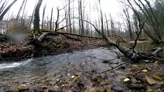 Unterwasser-Aufnahmen Flehbach 💦 Wasserplätschern 🌳 Königsforst bei Köln