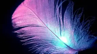 n'abandonne jamais...les anges sont là..par syllys rose