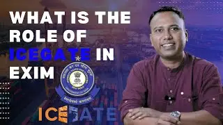 What is the Role of ICEGATE in EXIM? #internationaltrade #icegate #exportdocumentation #exportimport