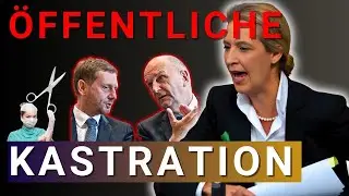 💥PARTEI OHNE EIER! AfD macht sie rund! Die W&auml;hler sind bedient von den Taugenichtse.