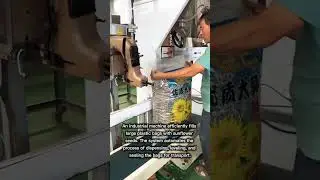 Automatic Grain Bagging System