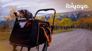 Where Convenience Meets Comfort  | FS2319 JetPaw 3-in-1 Pet Stroller | IBIYAYA