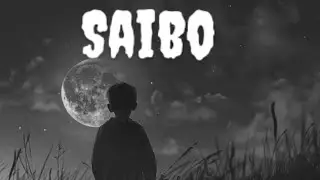 Saibo Song | Romantic Love Status | Heart Touching Video #lofibeats #lofi