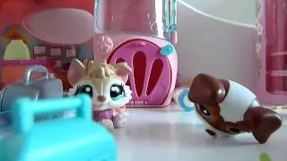 noel petshop