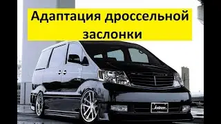 Адаптация дроссельной заслонки Toyota Alphard.Не держит обороты! Что делать?